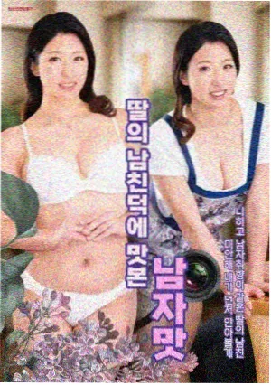 预售票房指标示意图